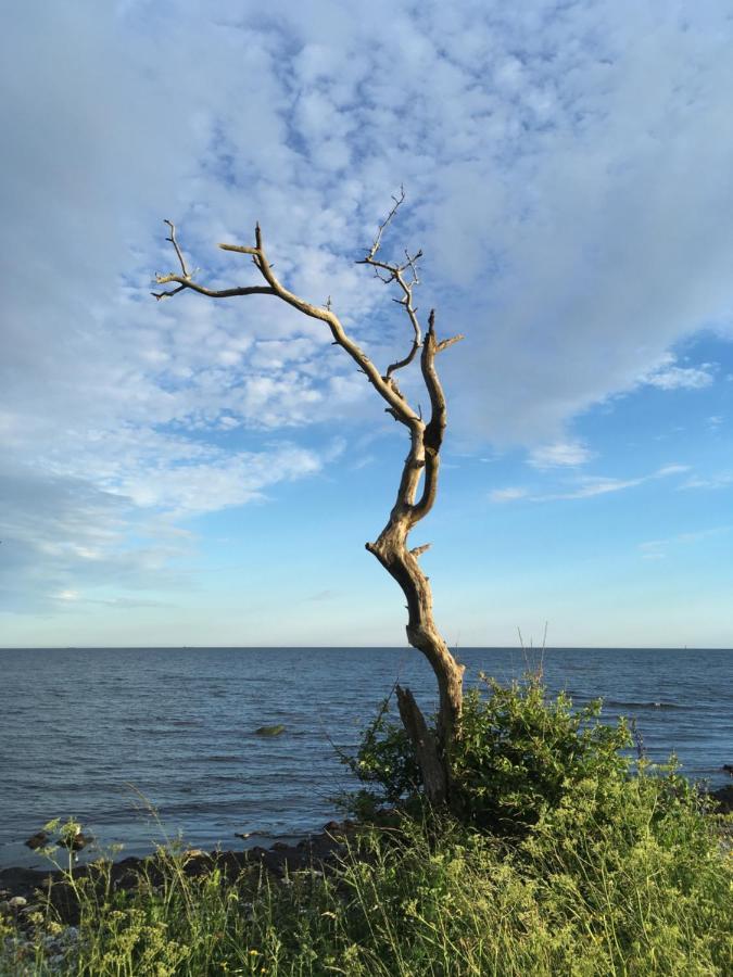 Rum Pa Landet Klagstorp Exterior foto